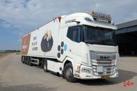 01-5575 Масштабная модель Шторный полуприцеп DAF XG+ MY25 4X2 в масштабе 1 50
