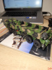 TWH077-01073 Масштабная модель OSHKOSH HEMTT M985-A-2 тягач, милитари в масштабе 1:50