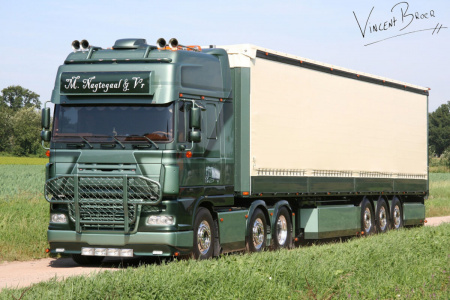 01-5075 Масштабная модель Тентованный прицеп DAF XF95 SUPER SPACE CAB 6X2 в масштабе 1 50